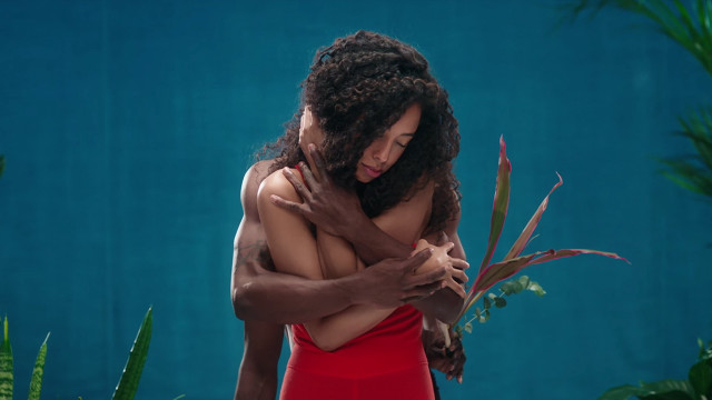 Woman red dress holding plant free wallpaper for desktop - medium preview image