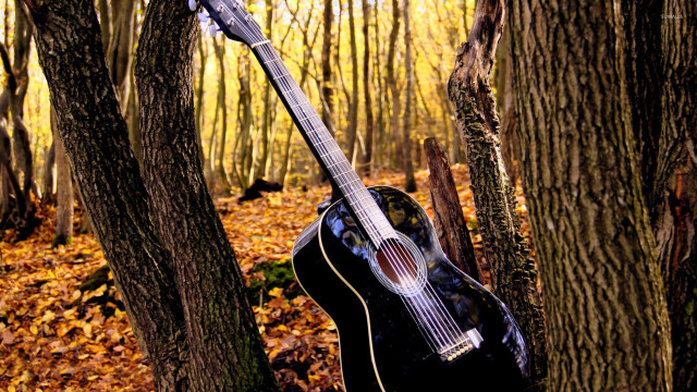 Guitar hanging tree forest leaves free wallpaper for desktop - medium preview image