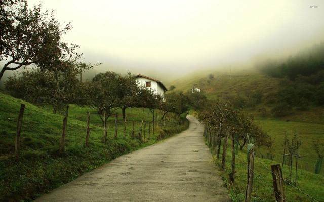 Lush green road house fog free wallpaper for desktop - medium preview image
