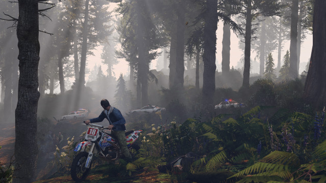 Forest dirtbike motorcycle foggy day free wallpaper for desktop - medium preview image