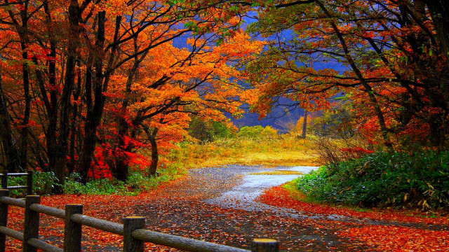 Road fall foliage fence impressionist #2 free wallpaper for desktop - medium preview image