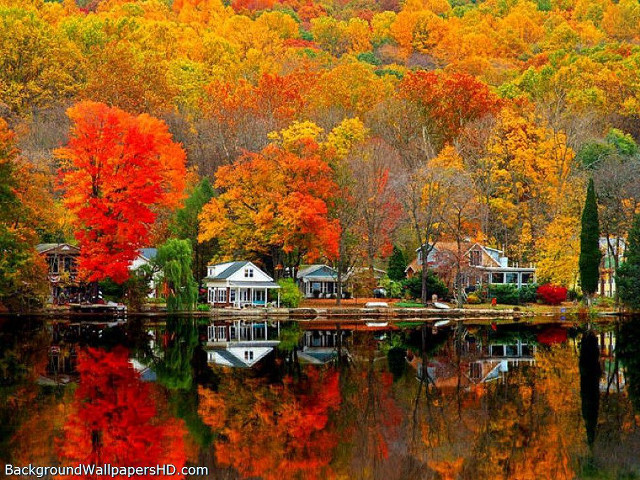 Autumn lake trees reflection houses free wallpaper for desktop - medium preview image
