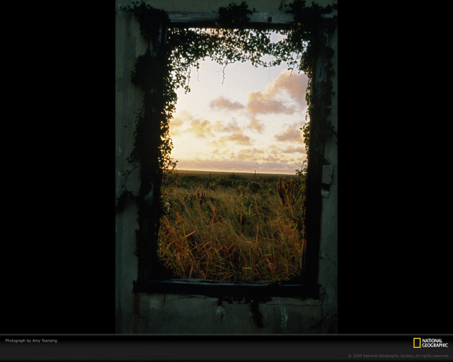 Window vines field grass clouds free wallpaper for desktop - medium preview image