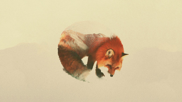 Red fox walking snow mountains free wallpaper for desktop - medium preview image
