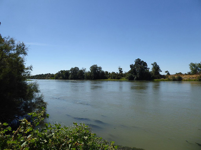 River trees blue sky bushes free wallpaper for desktop - medium preview image