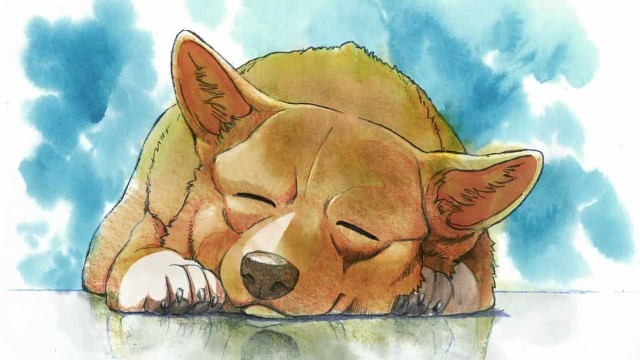 Dog sleeping table head ground free wallpaper for desktop - medium preview image