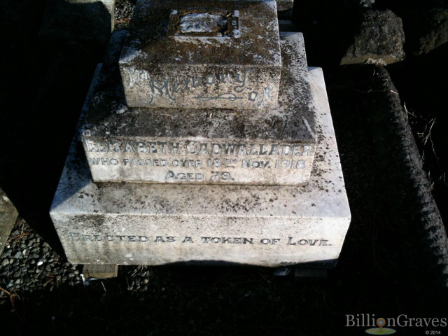 Headstones cement slab grass tree free wallpaper for desktop - medium preview image