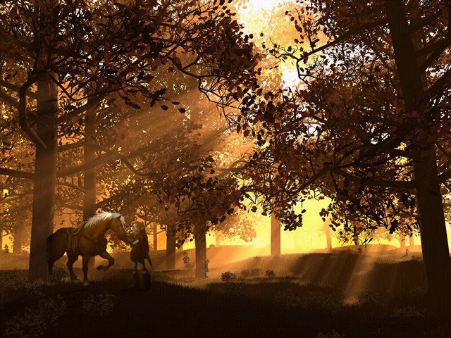 Horse forest sunlight trees nature free wallpaper for desktop - medium preview image