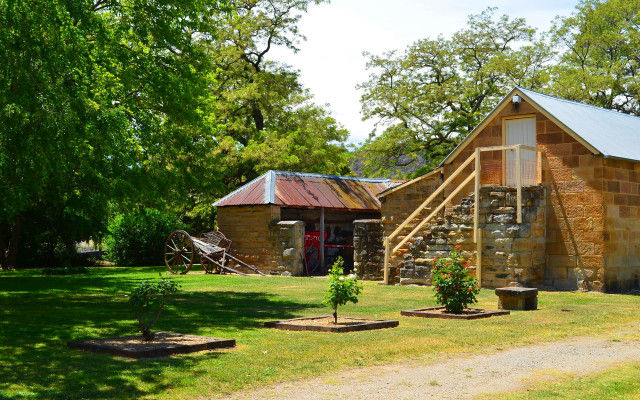Small building metal roof tree free wallpaper for desktop - medium preview image
