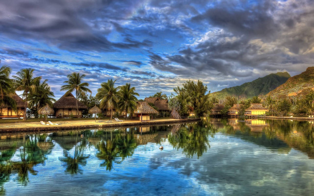 Tropical resort lake palm trees free wallpaper for desktop - medium preview image