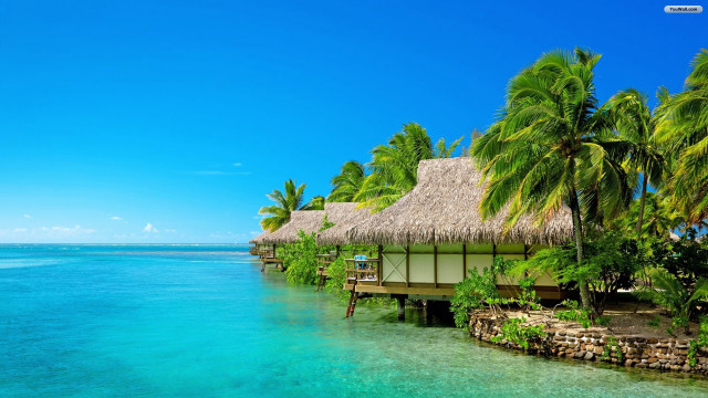 Tropical resort thatched roof palm free wallpaper for desktop - medium preview image