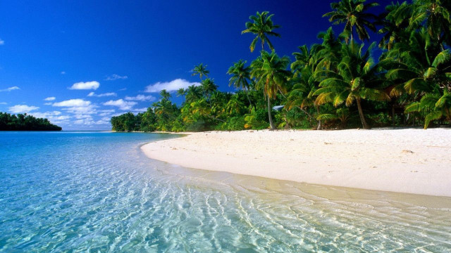 Beach palm trees clear water #7 free wallpaper for desktop - medium preview image