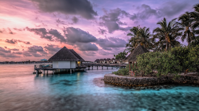 Pier hut palm trees sunset free wallpaper for desktop - medium preview image