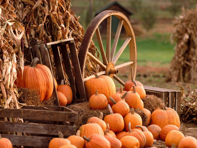 Pumpkins hay wagon fall autumn free wallpaper for desktop - medium preview image