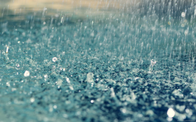 Close up rain shower water free wallpaper for desktop - medium preview image
