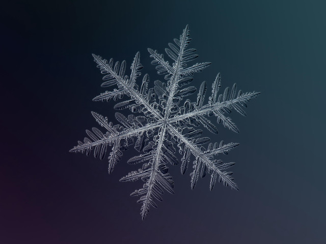 Snowflake dark blue purple background free wallpaper for desktop - medium preview image