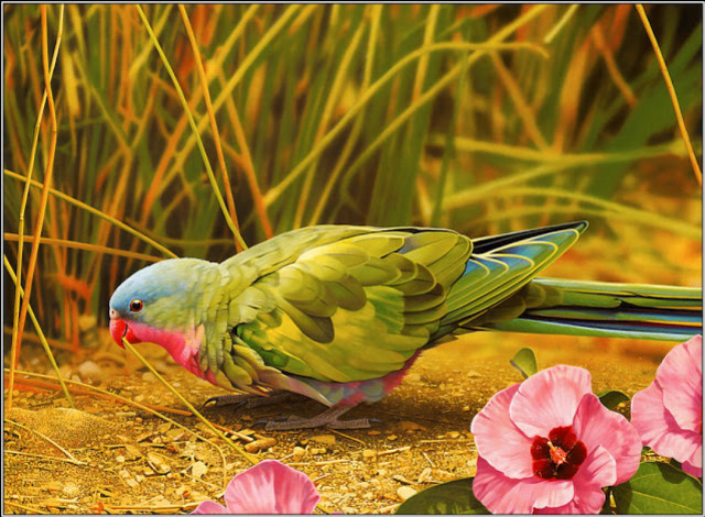 Green blue pink bird flowers free wallpaper for desktop - medium preview image