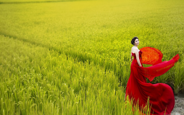 Woman red dress walking field free wallpaper for desktop - medium preview image