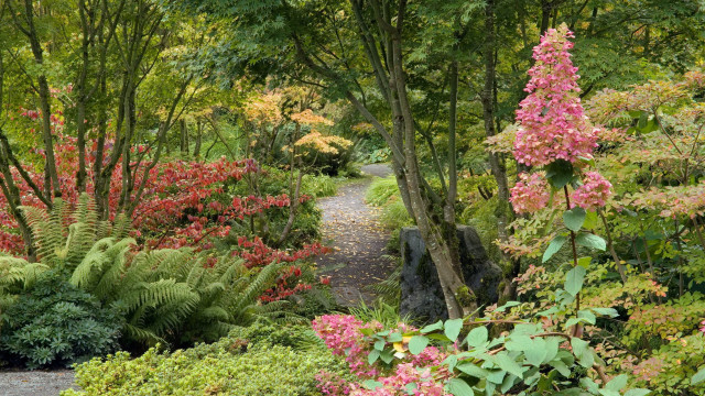 Lush green forest path flowers free wallpaper for desktop - medium preview image