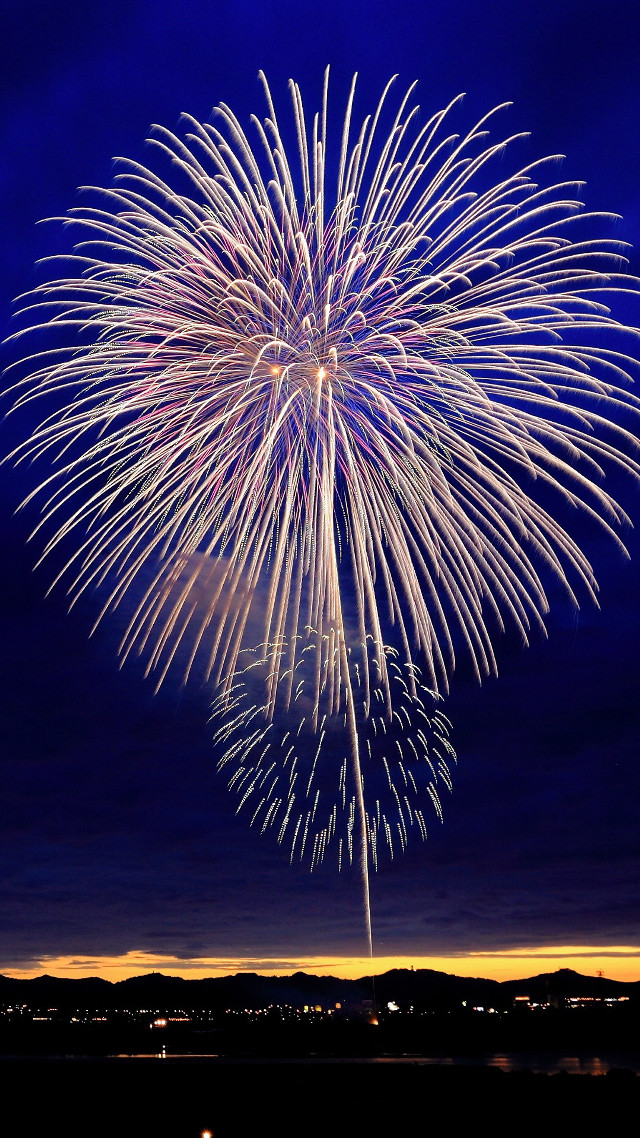 Fireworks display city night blue free wallpaper for mobile - medium preview image