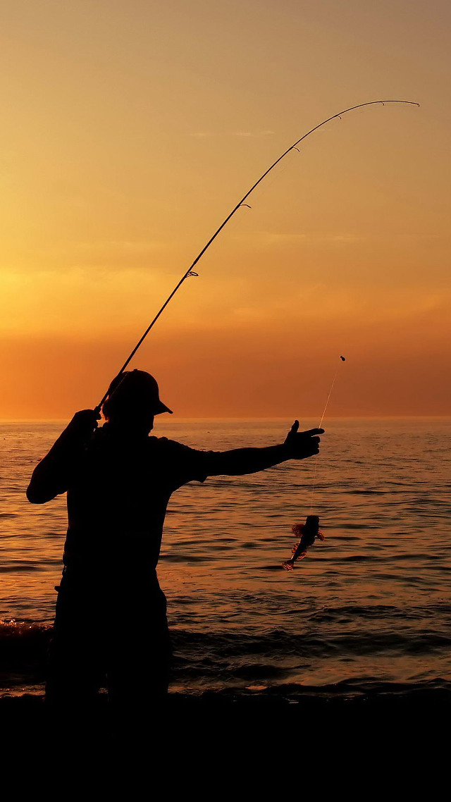 Man fishing sunset beach fish free wallpaper for mobile - medium preview image