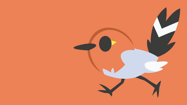Bird yellow beak running orange free wallpaper for desktop - medium preview image