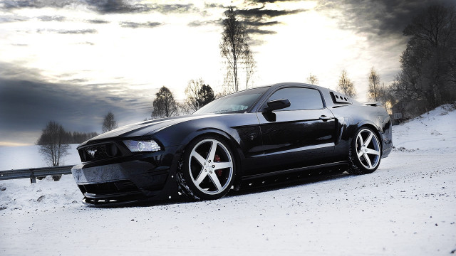 Black mustang snowy road trees free wallpaper for desktop - medium preview image