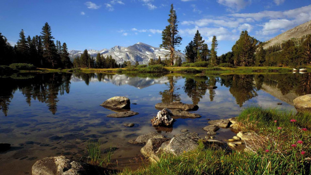 Lake rocks trees mountain blue free wallpaper for desktop - medium preview image