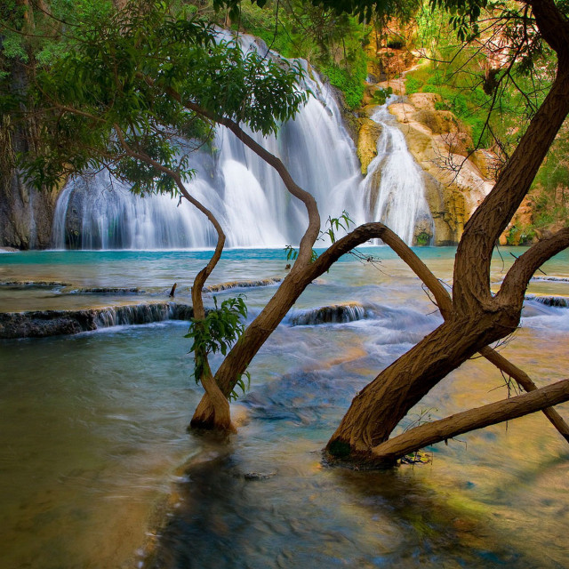 Waterfall tree foreground river background free wallpaper for tablet - medium preview image