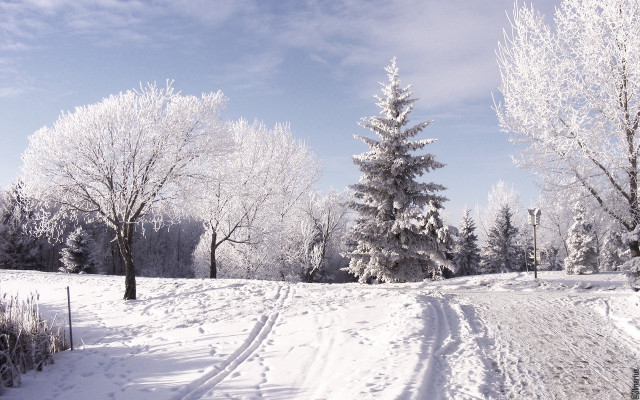 Snowy road trees fence blue free wallpaper for desktop - medium preview image