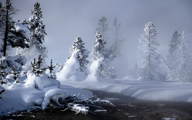 Snowy forest stream mountain mist free wallpaper for desktop - medium preview image