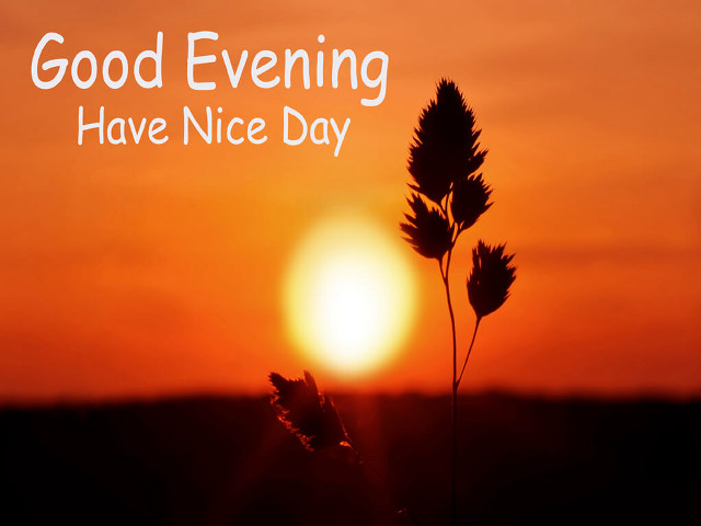 Sunset plant lensflare english quote free wallpaper for desktop - medium preview image