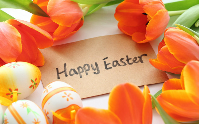 Happy easter orange tulips eggs free wallpaper for desktop - medium preview image