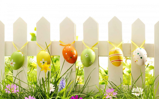 White picket fence easter eggs free wallpaper for desktop - medium preview image