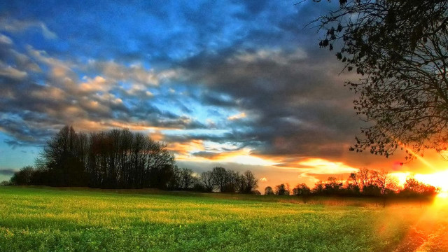 Field tree sunset clouds sky #2 free wallpaper for desktop - medium preview image