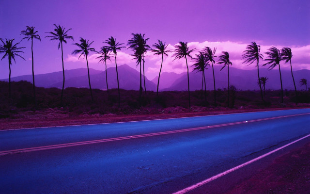 Palm trees road purple sky free wallpaper for desktop - medium preview image