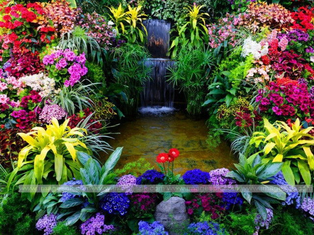 Garden waterfall colorful flowers plants free wallpaper for desktop - medium preview image