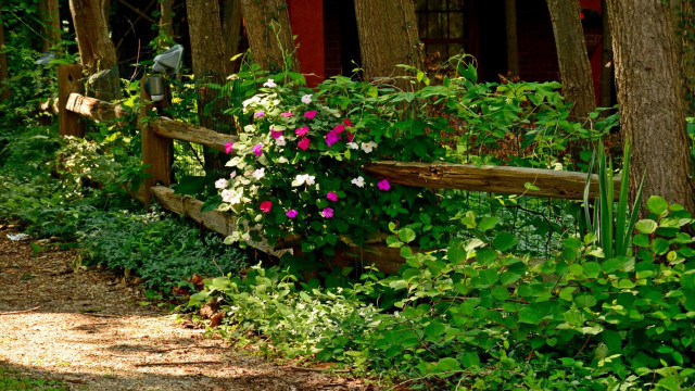 Wooden fence flowers house red free wallpaper for desktop - medium preview image
