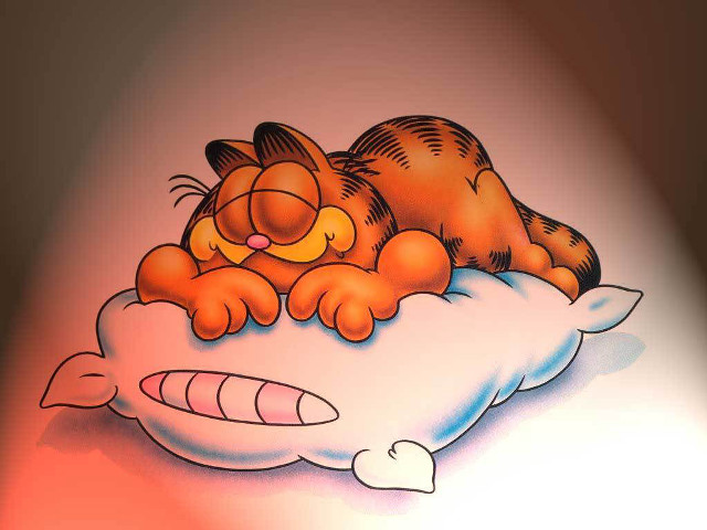 Cat sleeping pillow fish back free wallpaper for desktop - medium preview image