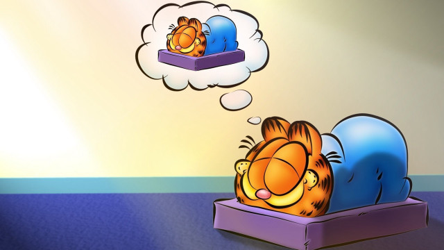 Cartoon cat sleeping box thought free wallpaper for desktop - medium preview image
