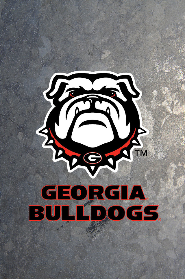 Dog face gray background georgia free wallpaper for mobile - medium preview image