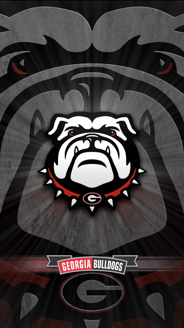 Black white bulldog red collar free wallpaper for mobile - medium preview image
