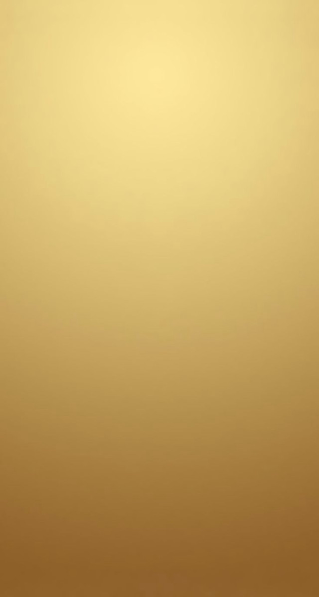 Gold background white black cat free wallpaper for mobile - medium preview image