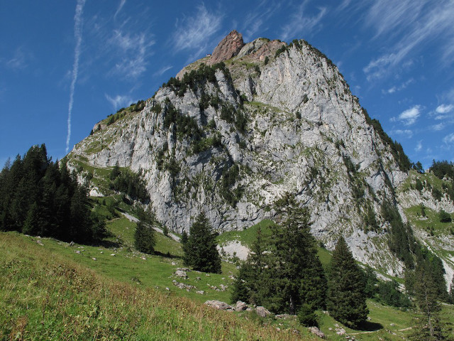 Mountain grassy field trees nature free wallpaper for desktop - medium preview image