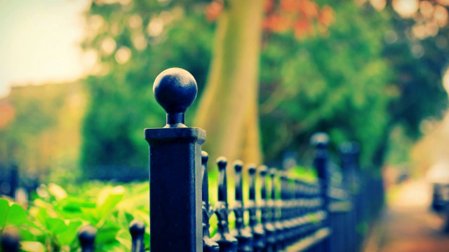 Black fence tree bench green free wallpaper for desktop - medium preview image