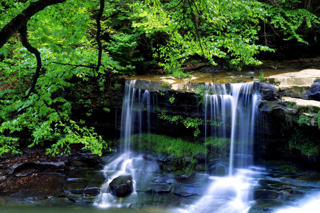 Waterfall forest lush green flowing free wallpaper for desktop - medium preview image