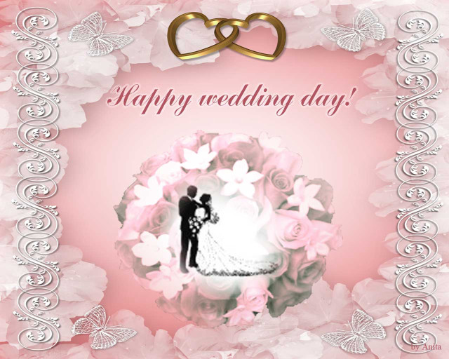 Wedding bride groom flower butterfly free wallpaper for desktop - medium preview image