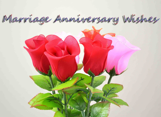 Vase roses table anniversary wishes free wallpaper for desktop - medium preview image