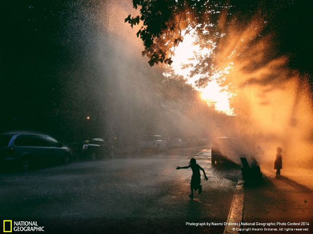 Person standing street fire hydrant free wallpaper for desktop - medium preview image