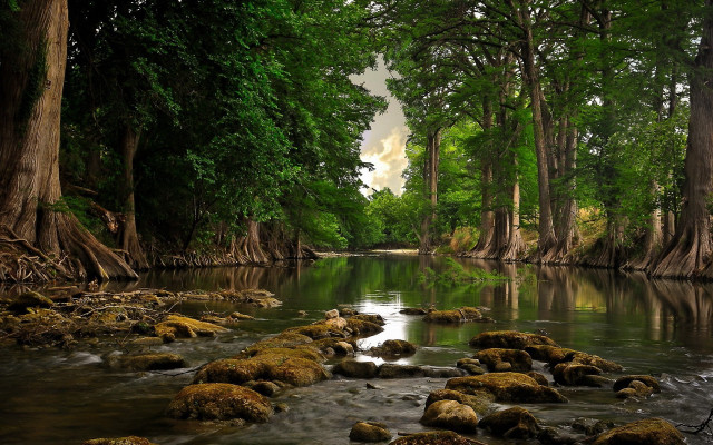 River rocks trees water cloudy #2 free wallpaper for desktop - medium preview image